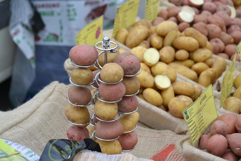 XV ANIVERSARIO de la Feria Agrícola, Ganadera y de la Patata de Losa en Quincoces de Yuso