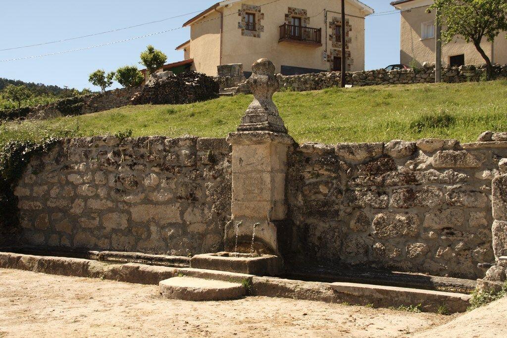 Fotografía de la galería de imágenes con id: 1169